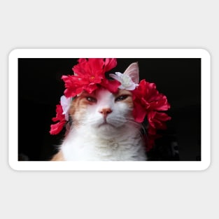 Cat Flower Sticker